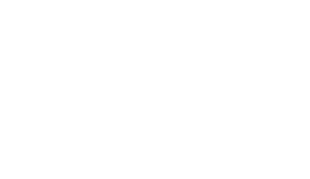 Capital Partners Fund